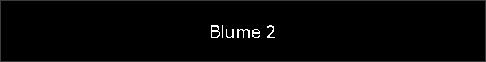 Blume 2