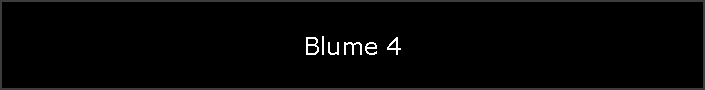 Blume 4