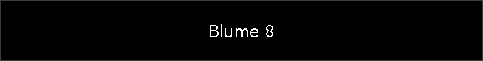 Blume 8